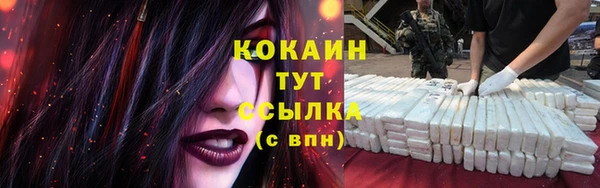 гидра Вязники