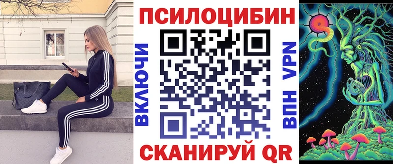 Галлюциногенные грибы Psilocybe Калязин