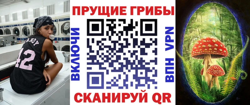 Псилоцибиновые грибы Cubensis  Калязин 